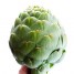 013068-artisjok-verdiano-f1