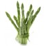 013300-asperge-mary-washington