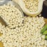045390-droogbonen-stam-stamslabonen-witte-eiboon-blanc-grain-rond-coco-blanc-cocco-bianco-white-cherry-white-canterbury-lazy-housewife