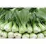 165280-shanghai-paksoi-green-stem-shanghai