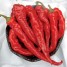 208213-peper-hot-portugal