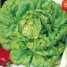 252950-kropsla-zwart-duits-hjerter-es-furchtenichts-all-the-year-round-passe-partout