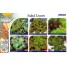 267260-smaaksalades-salad-leaves