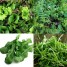 267370-smaaksalades-bloembaksalades