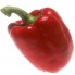 205575-paprika-colossal-f1