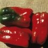 205753-paprika-hytower-f1