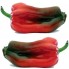 205810-paprika-marconi-rosso