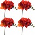 719540-freesia-hybride-double-red