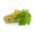 821580-witte-kas-druif-pollux