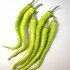 206290-paprika-yalova-corbaci