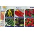 206700-paprika-collectie-pepers-paprika
