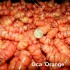 409164-oca-orange-admirable-sillustani