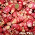 409166-oca-pink-perfection