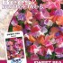 530110-lathyrus-odoratus-beeline