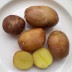 405998-aardappels-blue-donube-mix