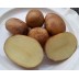 405999-aardappels-blumenau-brazil