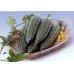 002530-alsempeer-ravana-f1-lush-f1