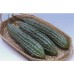002550-alsempeer-sita-f1