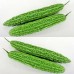 002570-alsempeer-torapi-f1-ky-green-f1-jasper-f1-best-165-f1