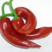207990-peper-cacho-cabra-aji-cacho-cabra