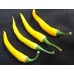 208100-peper-cayenne-gold