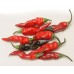 209478-peper-volcan-tenegua