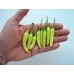 209490-peper-white-rawit