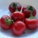 208340-peper-large-red-cherry-pi-439410