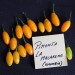 209251-peper-pimenta-la-macarena