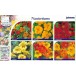 559150-tropaeolum-majus-collectieverpakking