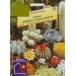 623800-cactussen-succulenten-tropensortiment