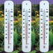 809160-thermometers-kunststof-muurthermometer-w1006