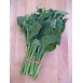 146300-chinese-broccoli-baby-broccoli-happy-rich-f1-melody-f1