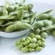 044060-sojaboon-green-shell