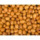 044990-droogbonen-stam-bruine-kogelboon