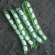 045150-droogbonen-stam-flageolet-groene-flageolet