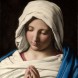 045250-droogbonen-stam-heilig-boontje-roodbruin-spread-eagle-dove-nombrills-bonne-soeur-saint-esprit-oeil-rouge-la-religieuse