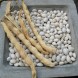 045315-droogbonen-stok-oldambster-witte-oldamster-witte