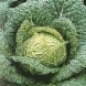 167560-savooiekool-vertus