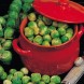 178000-groene-spruitkool-hilds-ideal-evesham-special