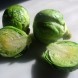 181200-groene-spruitkool-long-island-improved