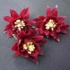 574145-aquilegia-hybriden-double-rubies