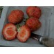 830440-tomatenaardbei-olifantenaardbei-madame-moutot-madame-kooi