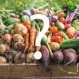 880163-juni-pakket-groenten-in-potten-bakken