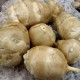 409064-aardperen-arancha