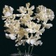 531100-lathyrus-odoratus-cream-southbourne-hunter-moon