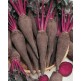 024350-lange-oerkroten-red-crapaudine-rouge-ecorce-au-crapaudine