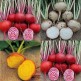 024400-collectie-kroten-trio-mixed