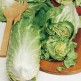 070000-groenlof-pan-di-zucchero-green-and-blond
