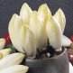 071200-witlof-zoom-f1-bingo-f1